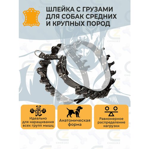 фото Шлейка для собак/ шлейка кожаная с утяжелителями (грузами) chokerz