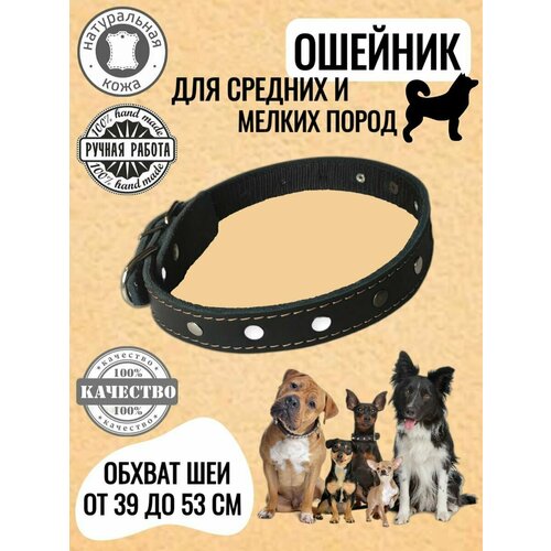 Ошейник из натуральной кожи с нейлоновой основой для средних пород собак/ Прочный, крепкий/ Обхват шеи от 39 до 53 см, длина 60 см.