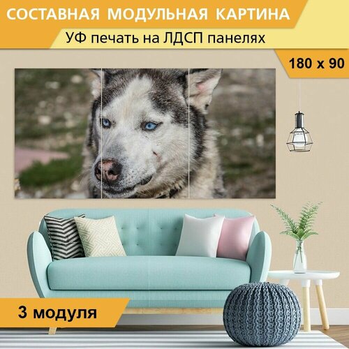 Модульная картина 