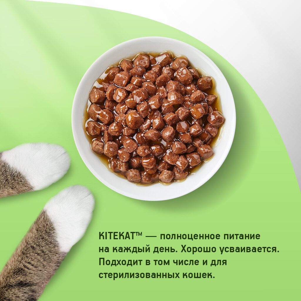 Kitekat Влажный корм для кошек,с ягненком в соусе, 85 г - фото №15