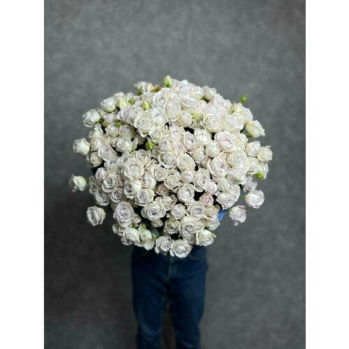 Букет роз "Сильвер Баблс" 51 шт, 50 см - доставка живых цветов на дом