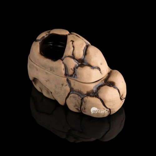 Влажная камера для рептилийамфибий Gloxy светлая Large 2390₽