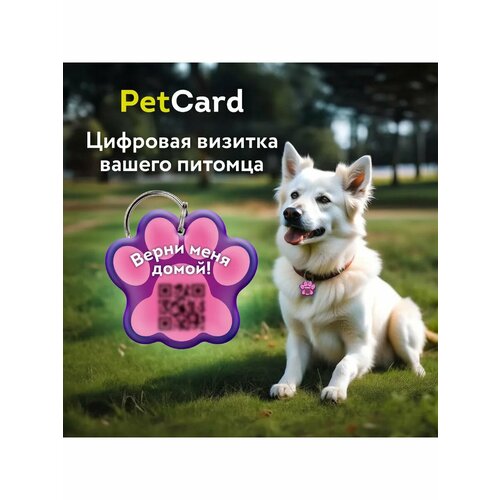 Адресник для собак и кошек PetCard с QR кодом и NFC, розовый