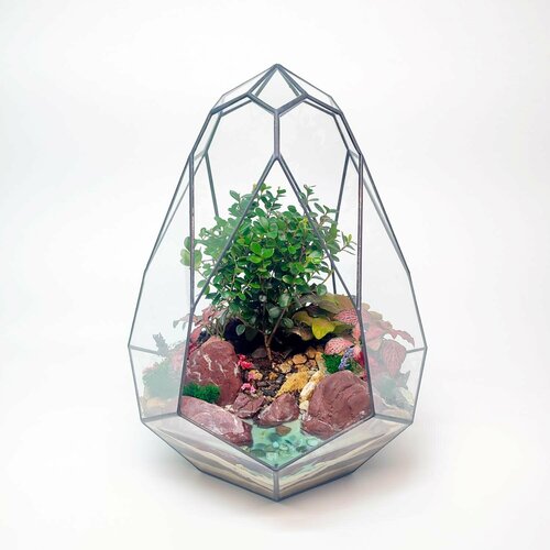 Бонсай Мирсина с озером во флорариуме Венера 26х35см 10920₽