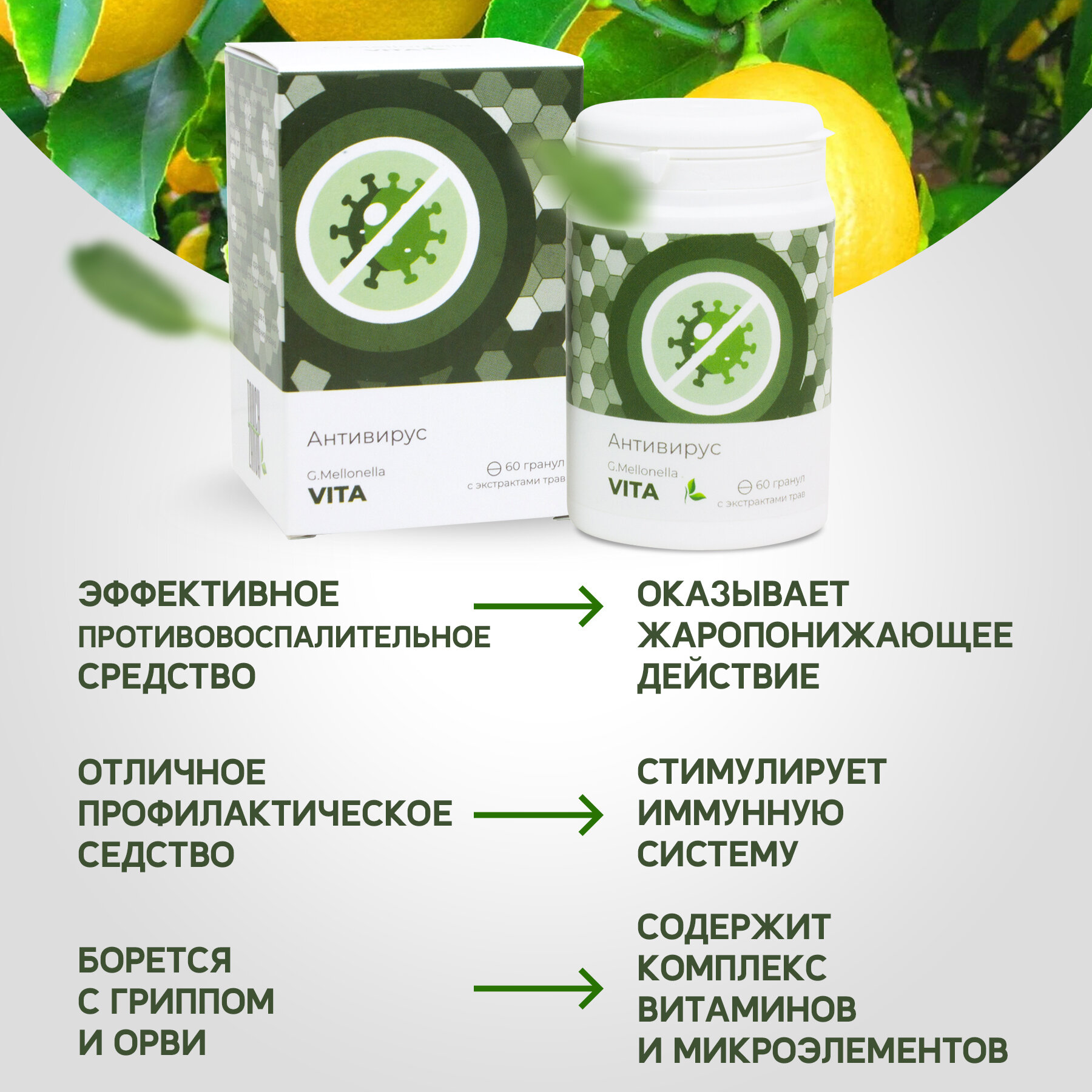 Картинки Двухмесячный комплекс "Огнёвка Вита" - комплекс от гриппа и простуды, для иммунитета, профилактика орви и орз 60 гранул.