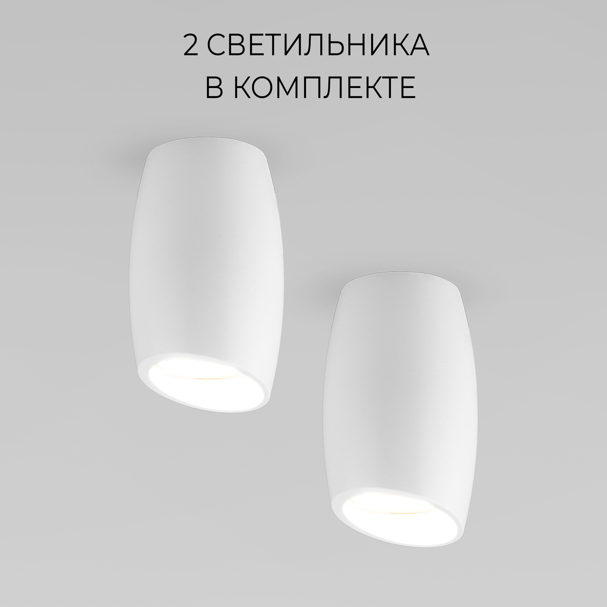 Спот / Накладной потолочный светильник Elektrostandard DLN002 MR16 WH цвет белый - комплект 2 шт.