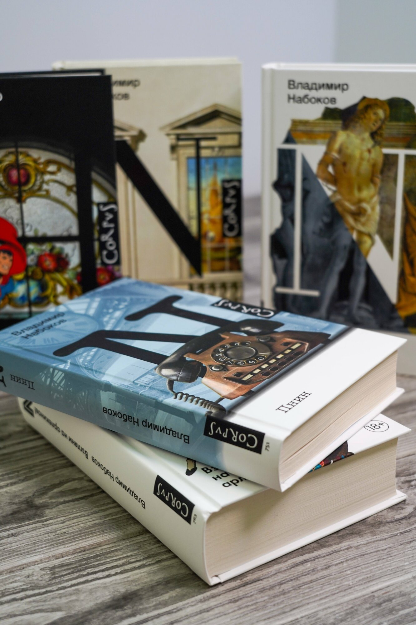 Пнин — фото 1