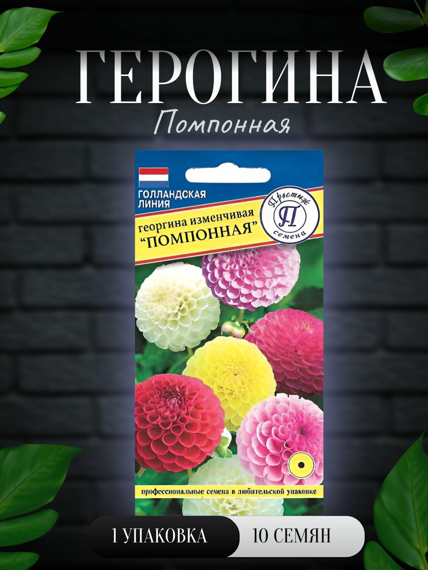 Георгина Помпонная 10 семян /Престиж