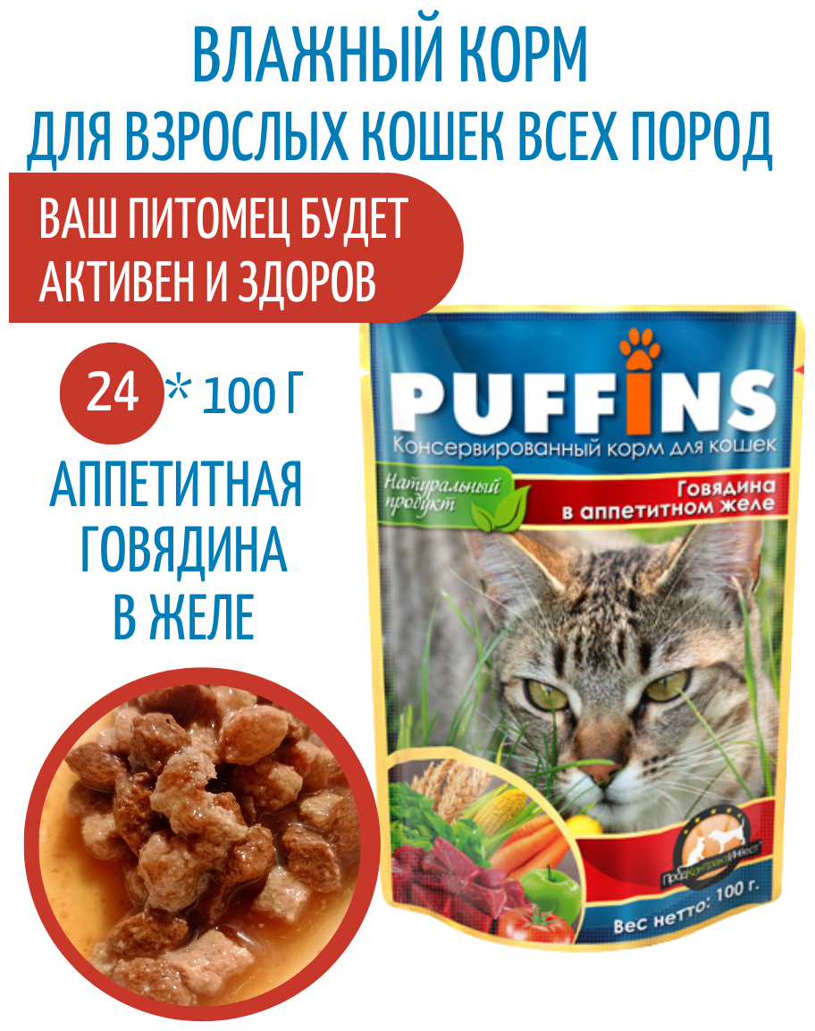 Консервы Puffins 100г для кошек в желе Говядина кусочки (Упаковка 24шт)