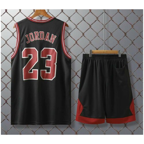 Баскетбольная форма Jordan Chicago Bulls L