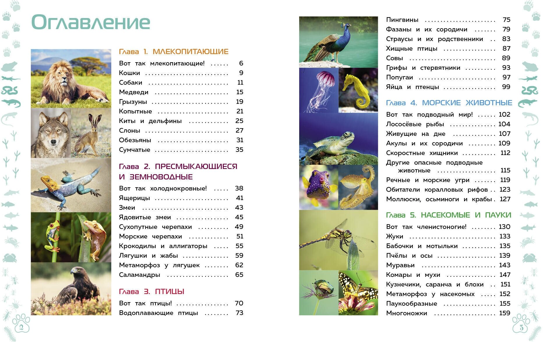 Животные. Большая детская энциклопедия - фото №3