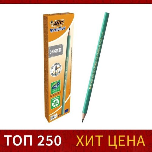 Карандаш чернографитный (простой) НВ, BIC Evolution, заточенный, пластик, без ластика, шестигранный, зеленый корпус