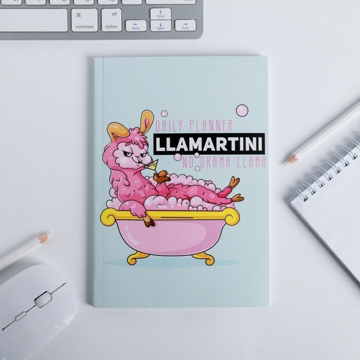 Ежедневник в тонкой обложке LLamartini, А5, 80 листов, 2 штуки