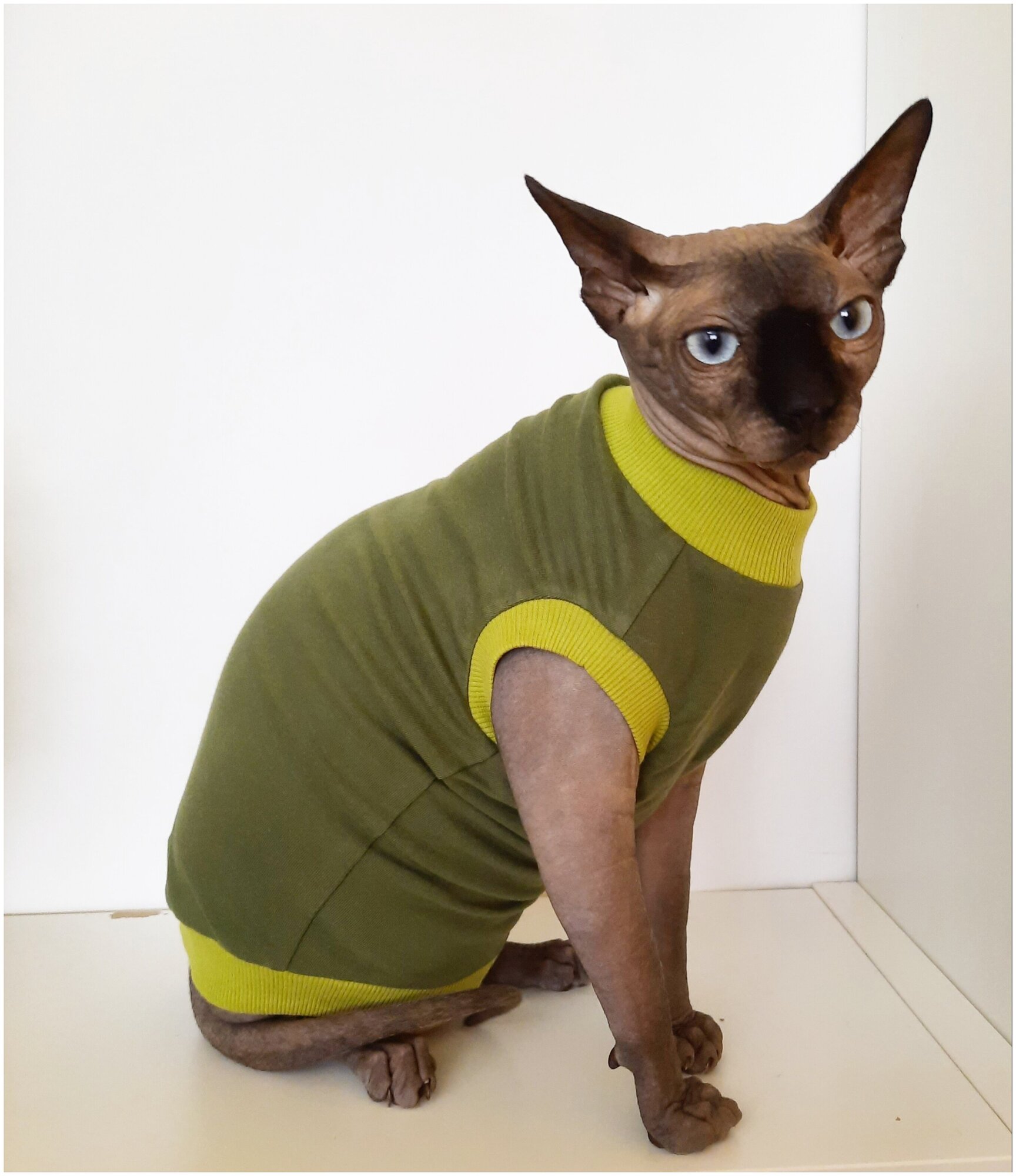 Футболка для кошек, размер 35 (длина спины 35см), цвет зеленый кедр / майка футболка для кошек сфинкс /одежда для животных / одежда для кошек сфинкс