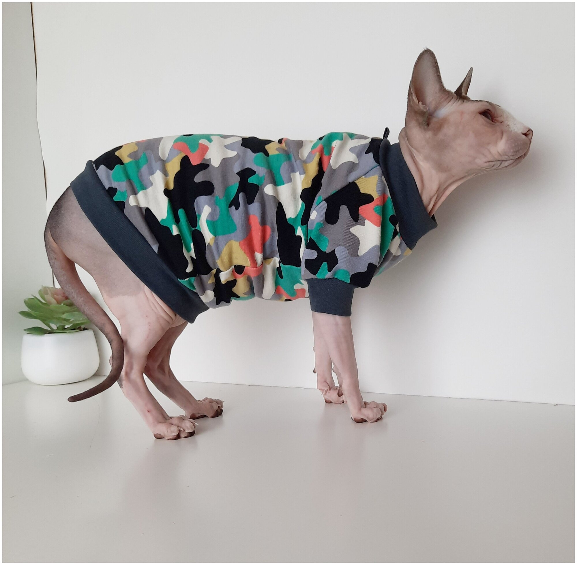 Свитшот для кошек, размер 30 (длина спины 30см), цвет милитари/ толстовка свитшот свитер для кошек сфинкс / одежда для животных - фотография № 5