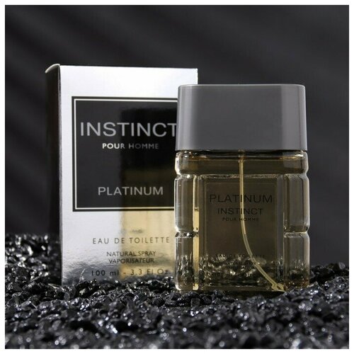 Туалетная вода мужская Instinct Platinum, 100 мл