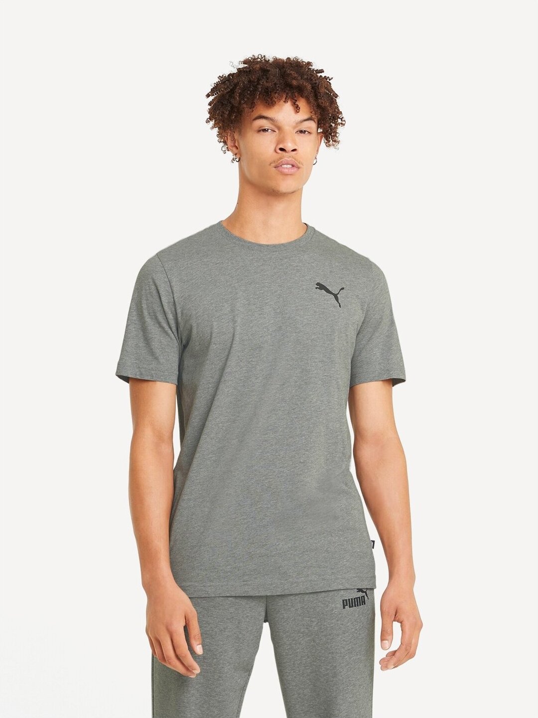 Футболка спортивная PUMA Essentials Small Logo Tee