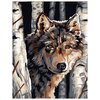 Картина по номерам Волк среди берез, 23x30 см - изображение