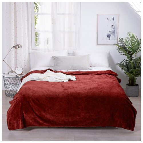 фото Плед фланелевый spiga однотонный sp1520-02 код3056 tango