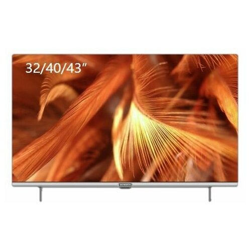 TV Skyworth 40STE6600 2680000₽