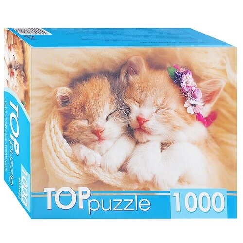 Рыжий кот Два спящих котенка (ГИTП1000-2142/PK), 1000 дет., разноцветный пазлы 1000 toppuzzle два спящих котенка гитп1000 2142