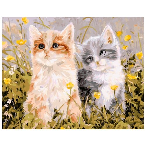 Картина по номерам Два котенка, 40x50 см