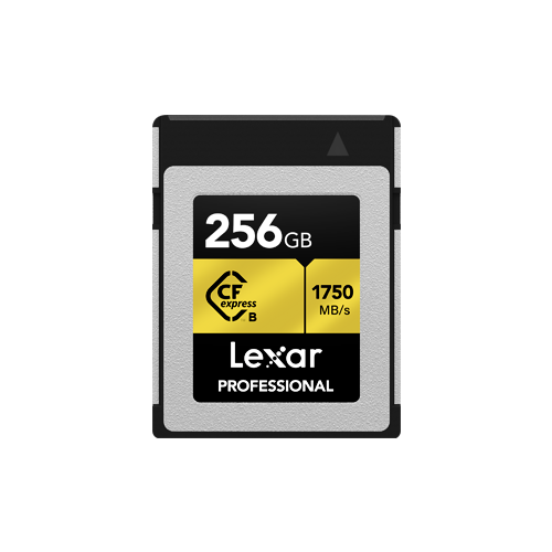 Карта памяти Lexar CFexpress Type B 256 ГБ, R/W 1750/1000 МБ/с prograde digital 128гб cfexpress 2 0 gold карта памяти