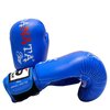 Фото #1 Боксерские перчатки Danata Dan Hill - синие