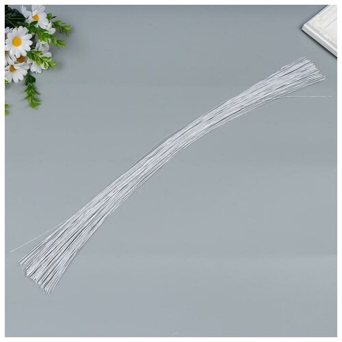 ASTRA Проволока для творчества Астра d 06 мм 60 см 100шт белый 652₽