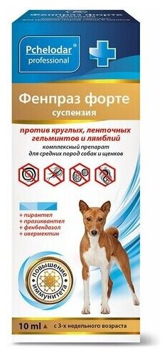Суспензия против гельминтов Пчелодар Фенпраз форте для средних собак, 10мл