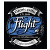 FLIGHT EN 1046 Струны для электрогитары - изображение