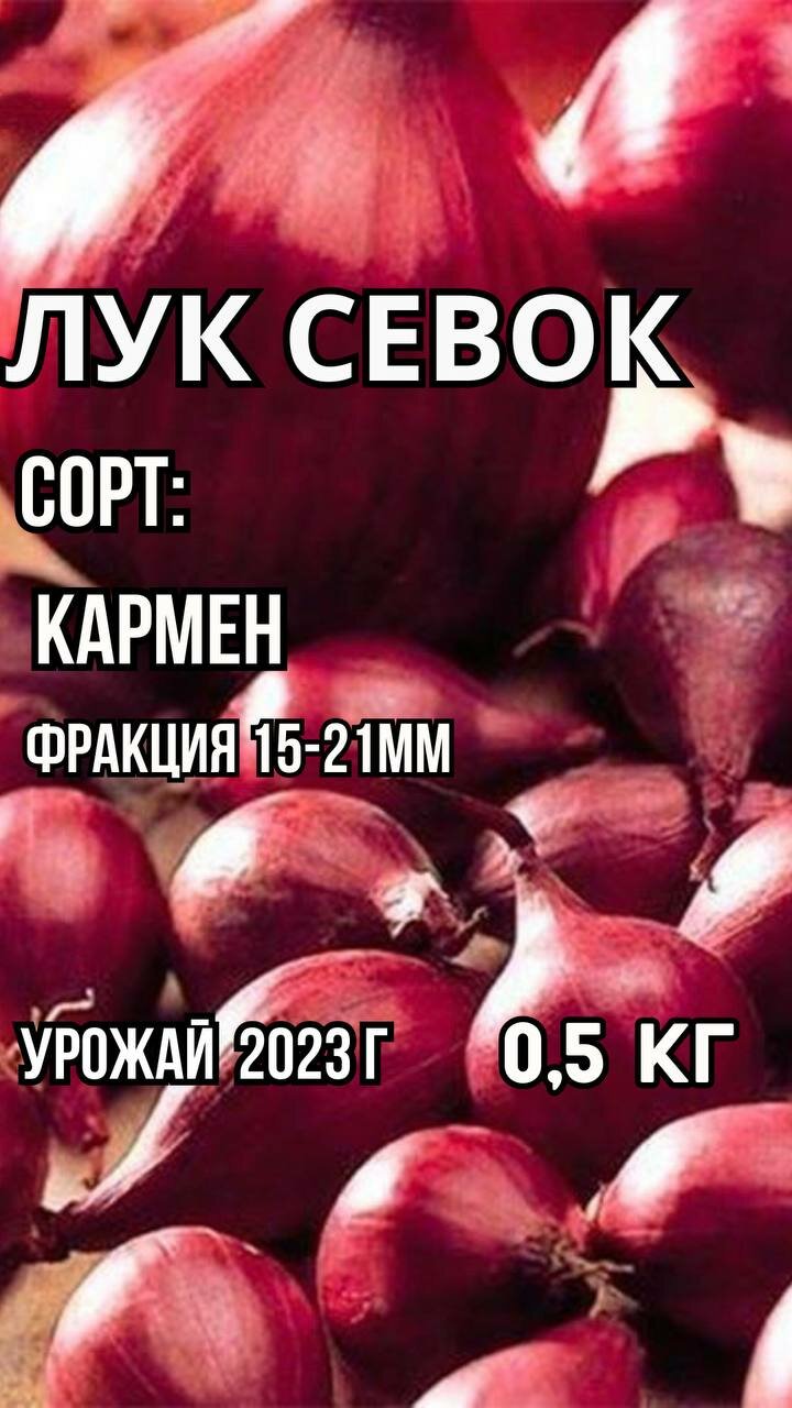 Лук севок - кармен 0,5кг. Урожай 2023 - фотография № 1