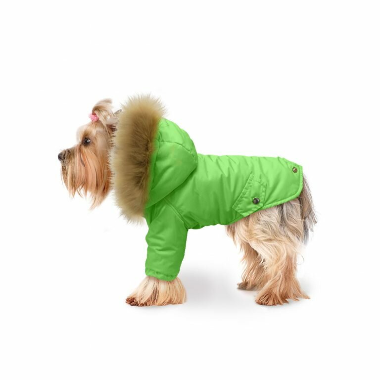 Куртка для собак "Фисташка" размер L - фотография № 1