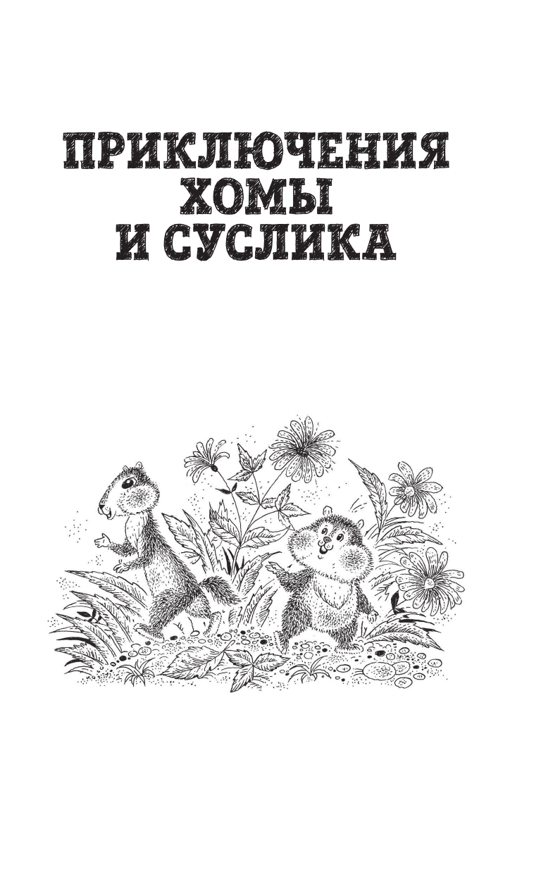 103 сказки о Хоме и Суслике (ил. И. Панкова) (у.т.) - фото №7