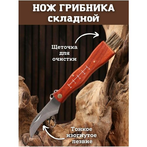 фото Нож туристический saro house