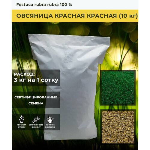 Семена газона Овсяница красная (10 кг)
