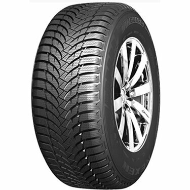 Шина Roadstone Winguard Snow'G WH2 195/65 R15 95T