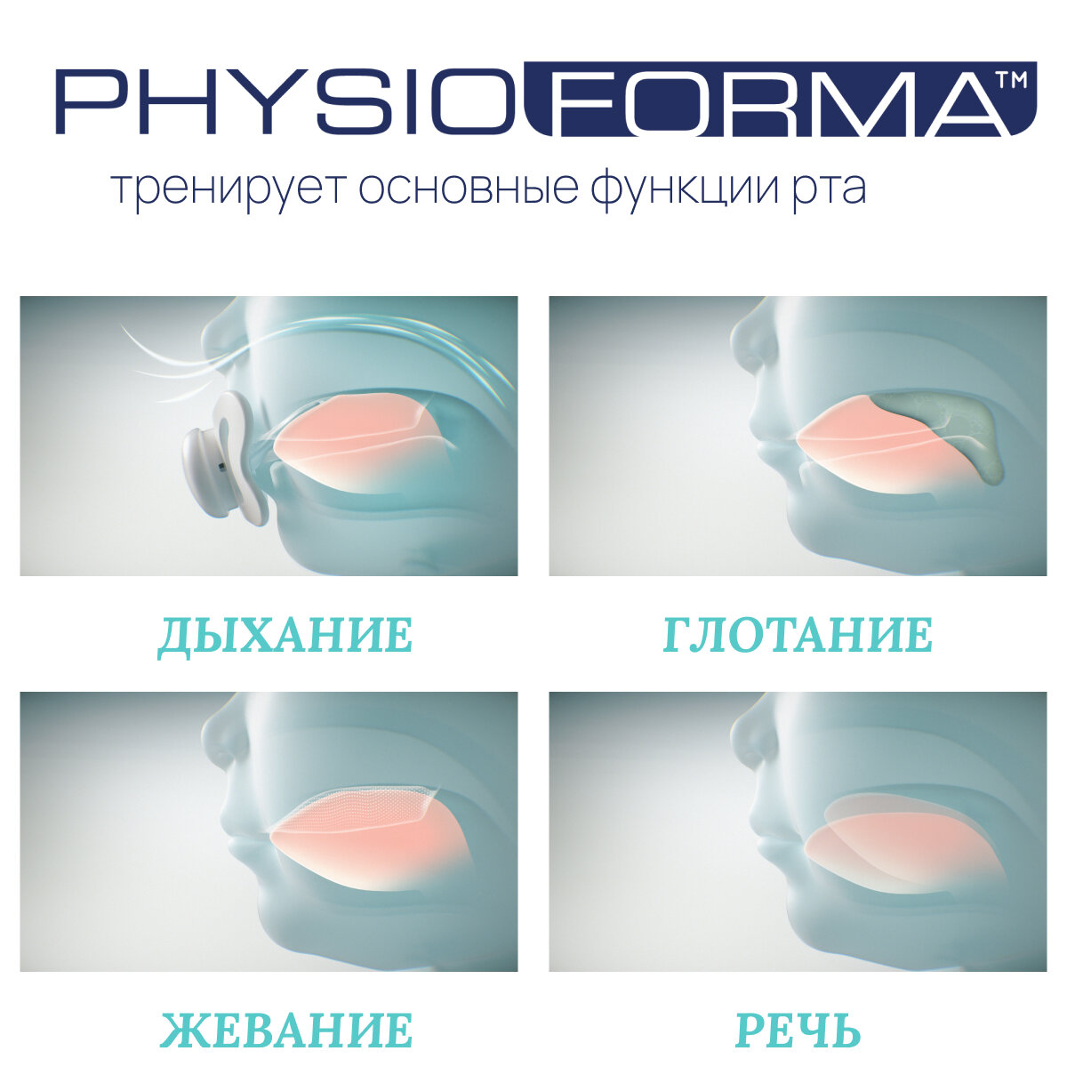 Chicco Пустышка для новорожденных 0 - 6 мес Physio Comfort 2 шт, Голубой — фото 1