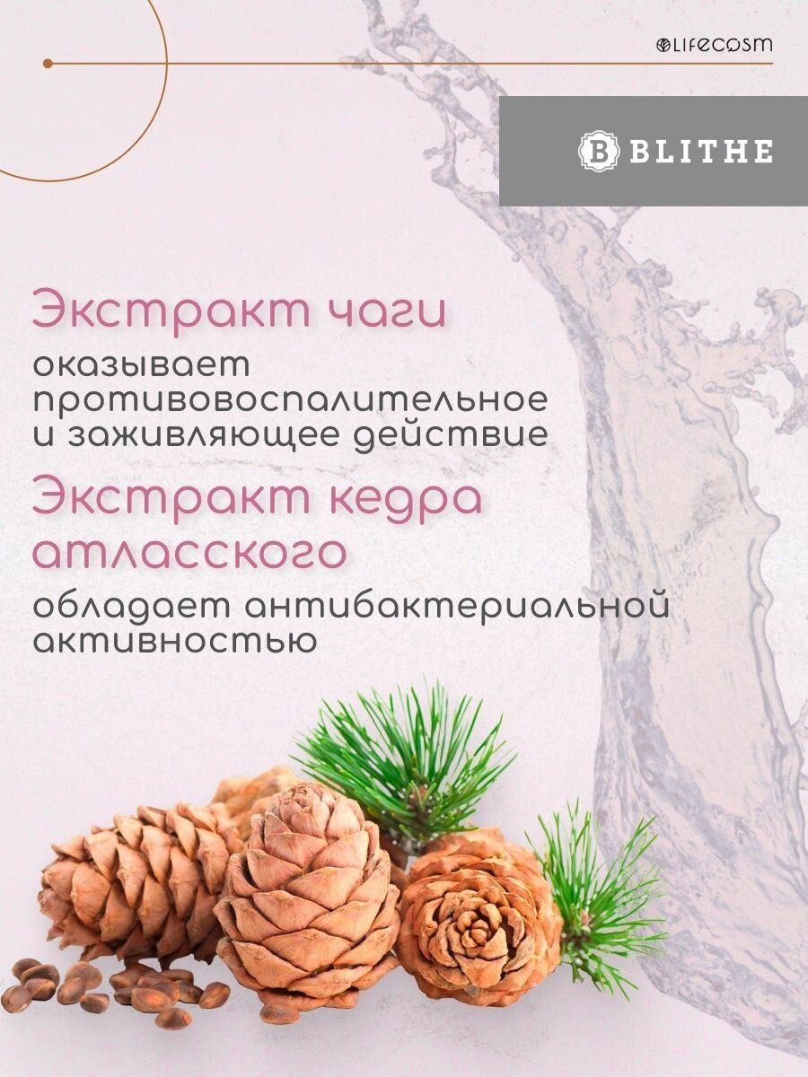 Blithe Сыворотка спрессованная антивозрастная «Гриб Чага», 50 мл (Blithe, Blithe ) - фото №11