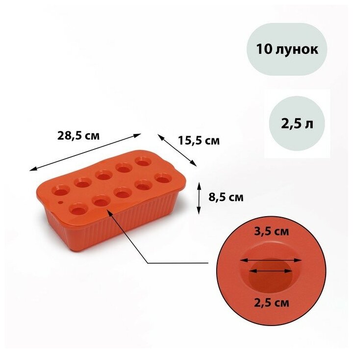 Greengo Ящик для выращивания зелёного лука, 29 × 16 × 8,5 см, 2,5 л, 10 лунок, оранжевый, Greengo