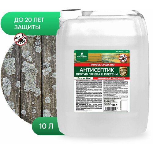 PROSEPT антисептик антисептик Антиплесень, 10.58 кг, 10 л, прозрачный