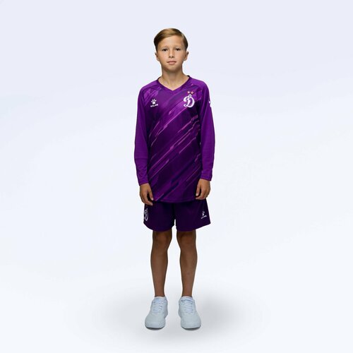 Спортивная форма ФК Динамо Москва для мальчиков, лонгслив и шорты, размер 120, фиолетовый