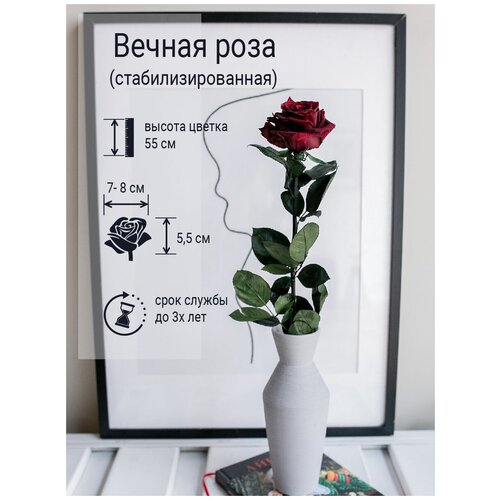 Вечная роза стабилизированная 