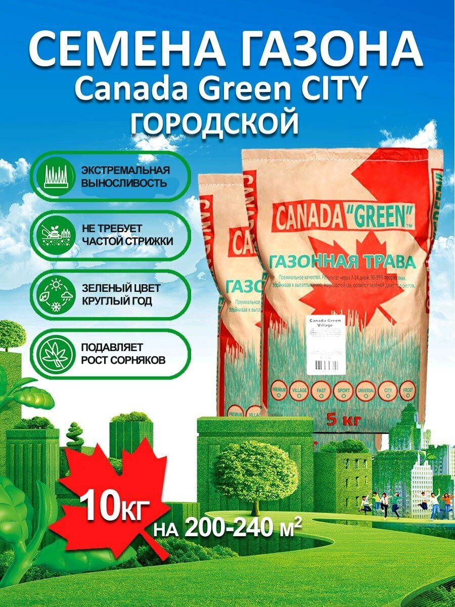 Газонная трава семена Канада Грин Городской CITY 10 кг/ мятлик, райграс .