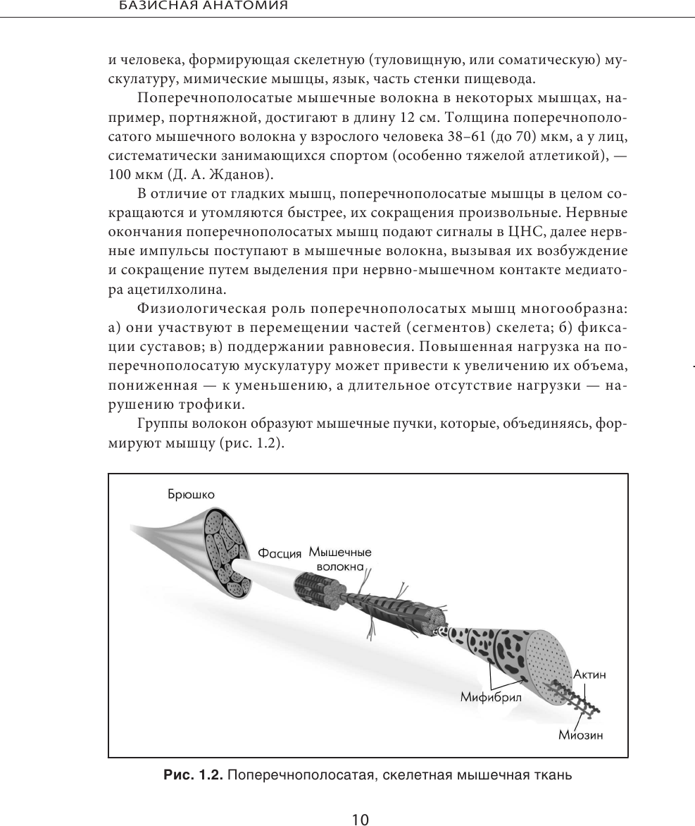 МИОФАСЦИАЛЬНЫЙ РЕЛИЗ. Эффективные методики растяжения мышц и фасций для предупреждения травм и избавления от хронических болей - фото №12