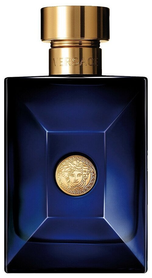 Versace Мужской Versace Pour Homme Dylan Blue Туалетная вода (edt) 100мл