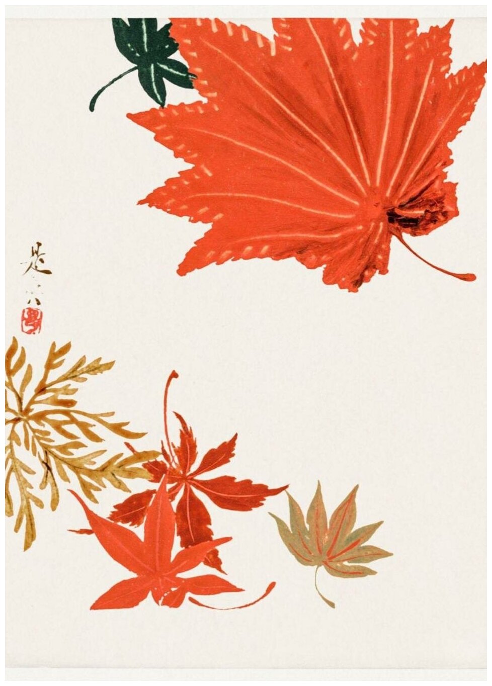 Постер / Плакат / Картина Листья - Огненные листья 40х50 см в подарочном тубусе