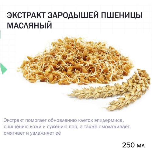 Экстракт зародышей пшеницы, масляный - 250 мл