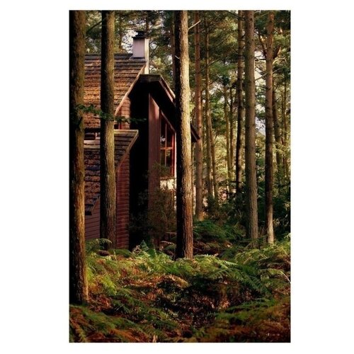 Обогрев настенный Лес 1680₽