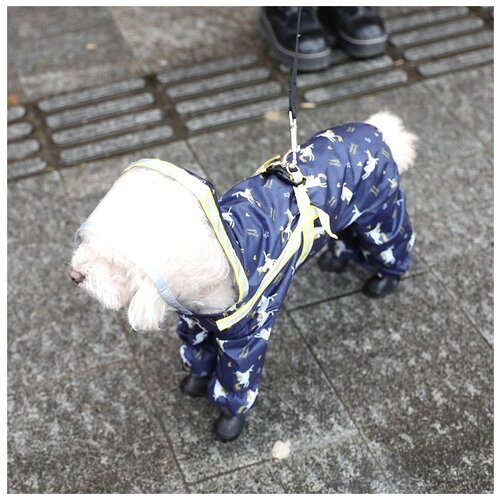 Дождевик со шлейкой для собак (32см )